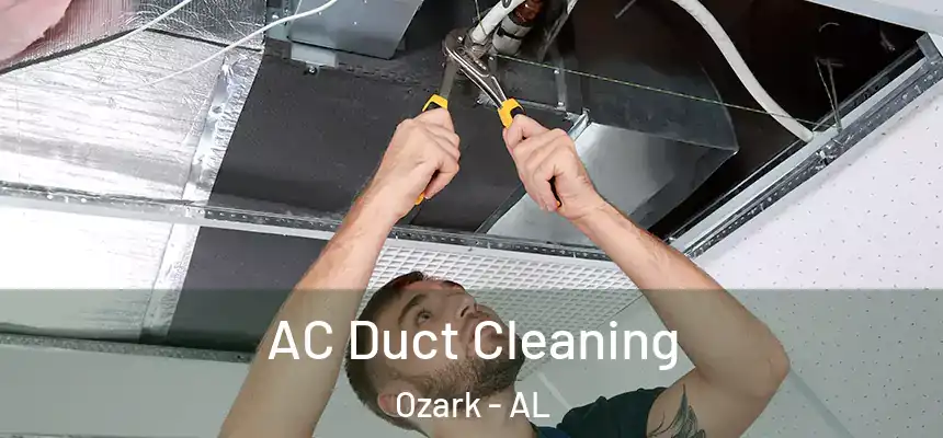  AC Duct Cleaning Ozark - AL