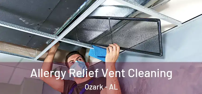  Allergy Relief Vent Cleaning Ozark - AL
