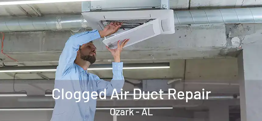  Clogged Air Duct Repair Ozark - AL