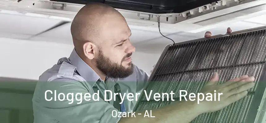  Clogged Dryer Vent Repair Ozark - AL