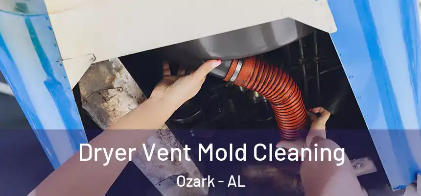  Dryer Vent Mold Cleaning Ozark - AL