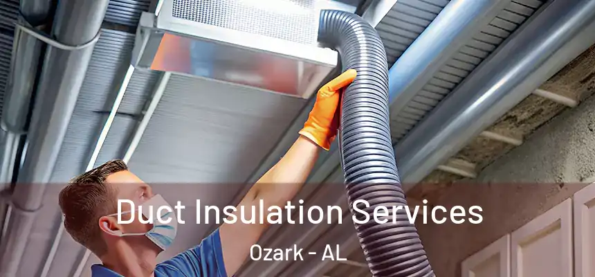  Duct Insulation Services Ozark - AL