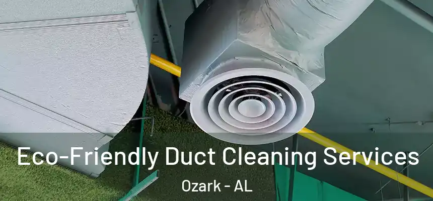  Eco-Friendly Duct Cleaning Services Ozark - AL