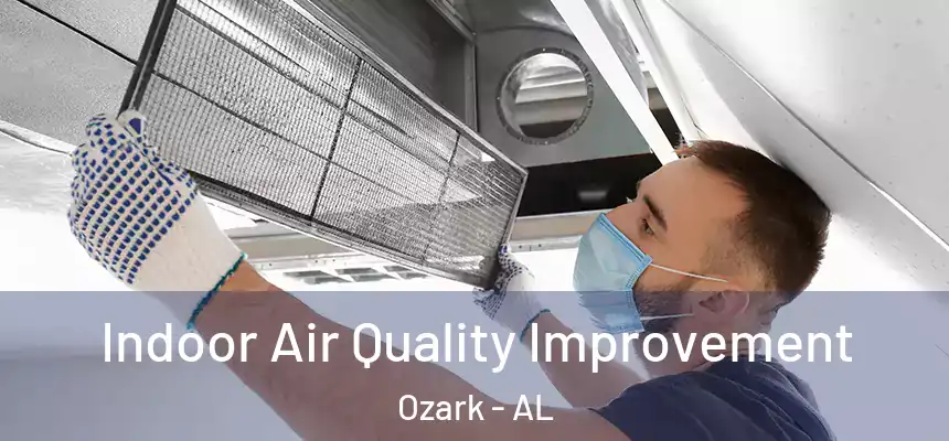  Indoor Air Quality Improvement Ozark - AL