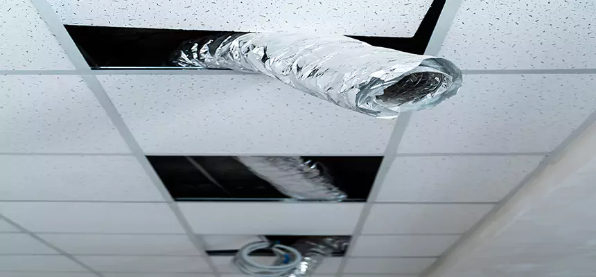 Our Air Duct Pet Hair Removal Services in Ozark, AL