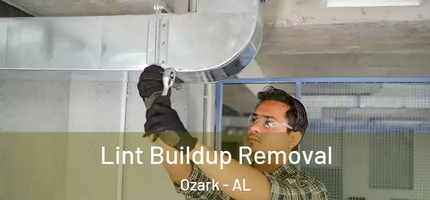  Lint Buildup Removal Ozark - AL