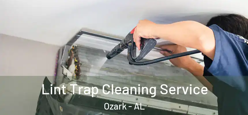  Lint Trap Cleaning Service Ozark - AL