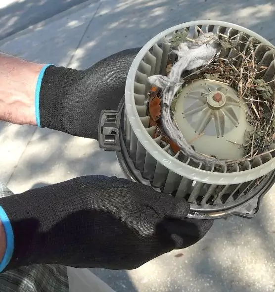 About Air Duct Mice Removal in Ozark, AL