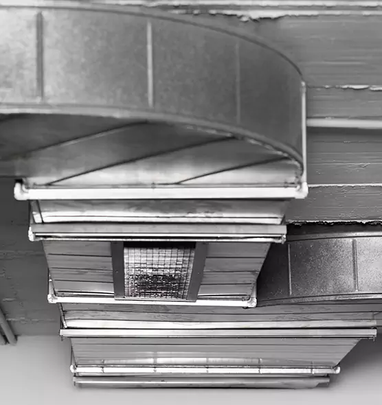 Professional Air Duct Pet Hair Removal in Ozark, AL