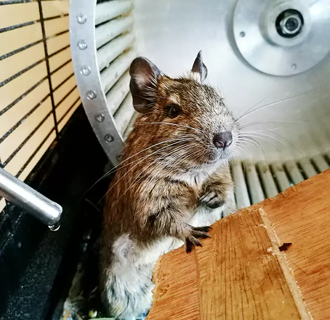 Why Homeowners & Businesses Trust Us Ozark, AL