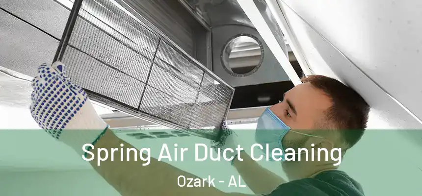  Spring Air Duct Cleaning Ozark - AL